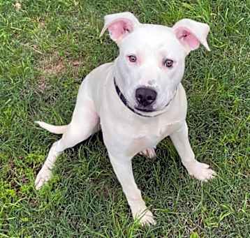 Photo of Ghost