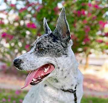 Photo of MITZY
