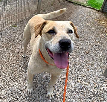 Photo of Spot