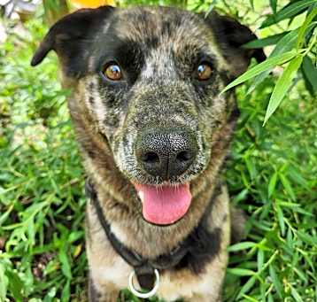 Photo of Hazel