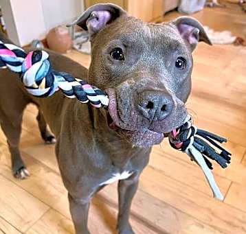 Photo of Drago help needed