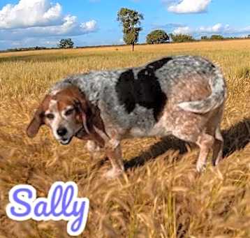 Photo of Sally