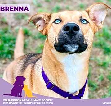 Photo of Brenna
