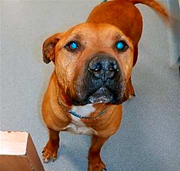 Photo of KOVU