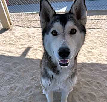 Photo of LUNA
