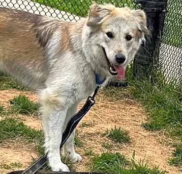 Photo of Luna