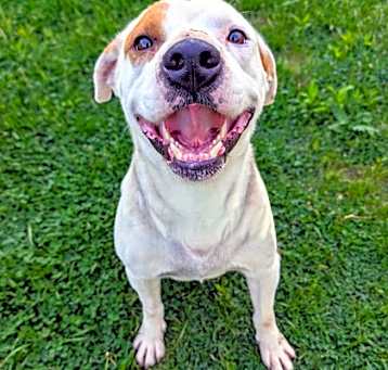 Photo of Champ