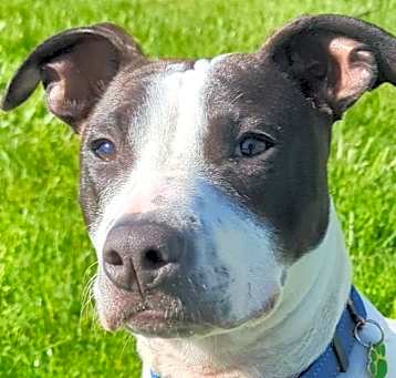Photo of ENZO