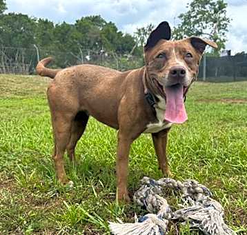Photo of HERSHEY