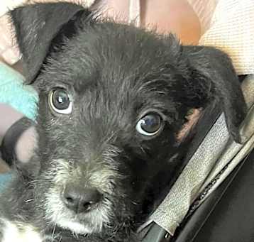 Photo of PHOEBE