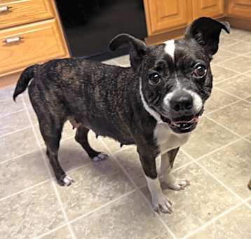Photo of Luna