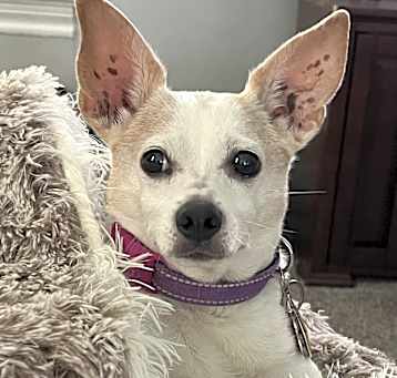 Photo of Lucy