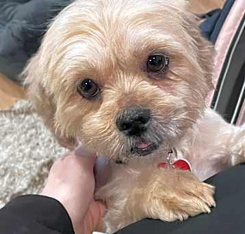 Photo of Mia