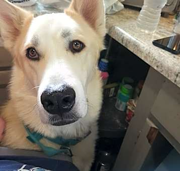 Photo of Zuki