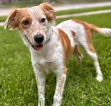 Photo of Hazel