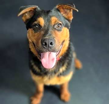 Photo of Kilo