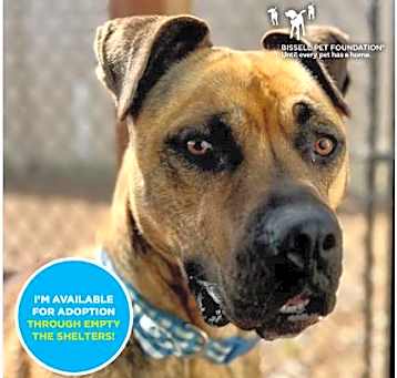 Photo of ROSCO*