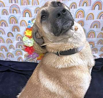 Photo of Bianca