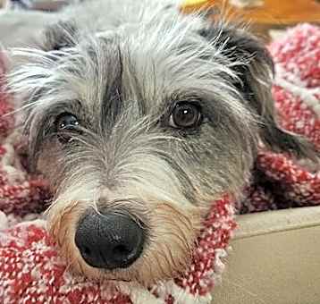 Photo of Buttons