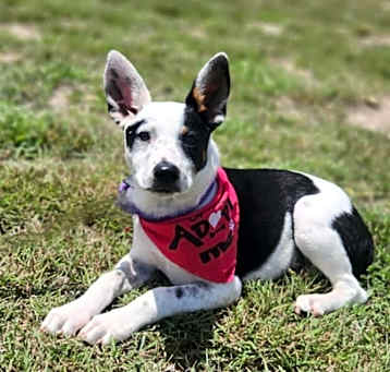 Photo of Missy KK