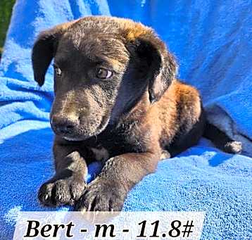 Photo of Burt