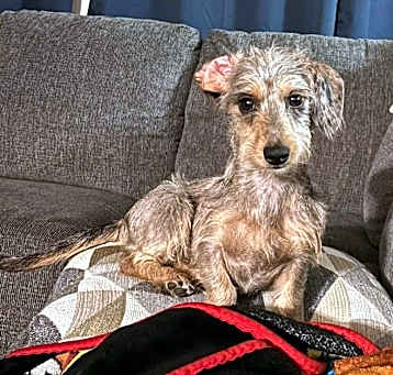 Photo of Penelope