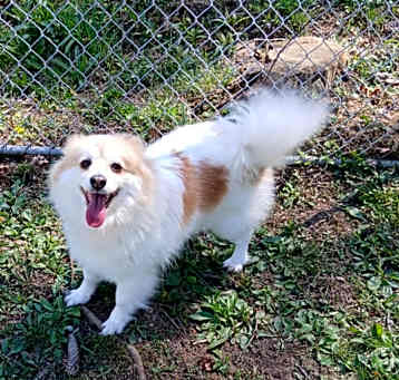 Photo of Happy