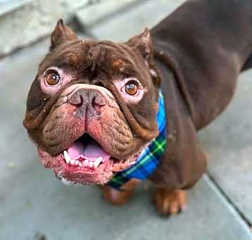Photo of Hugo