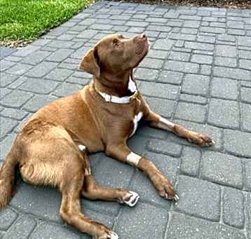 Photo of FRANKLIN