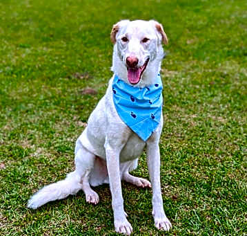 Photo of Sahita