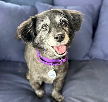 Photo of Minnie Mystique