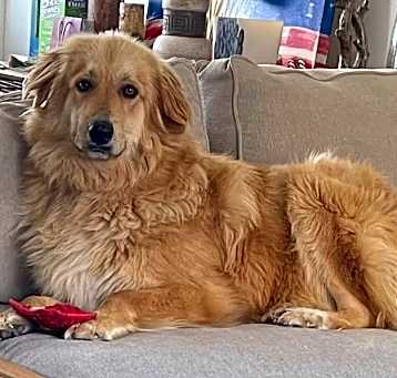 Photo of Beethoven