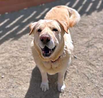 Photo of Beamer