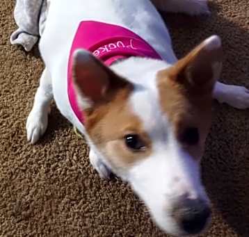 Photo of Pocket