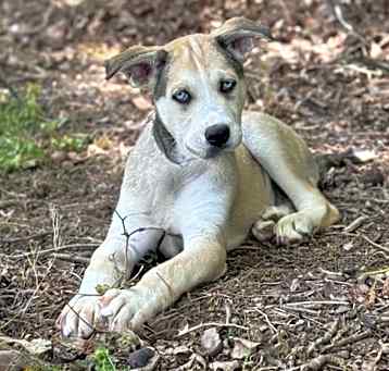 Photo of Max