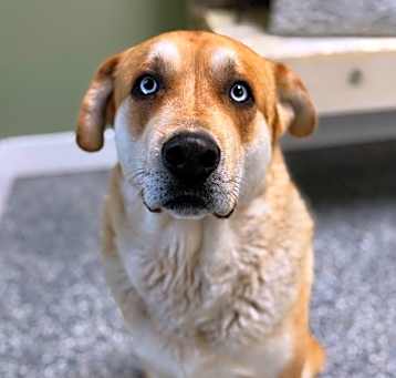 Photo of Duke