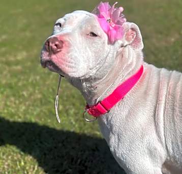 Photo of Jenny