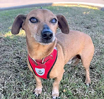 Photo of Max
