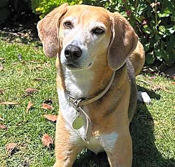 Photo of Ada