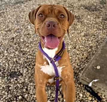 Photo of Hennessy