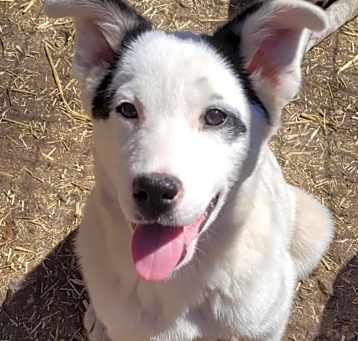 Photo of Rena