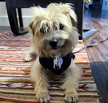 Photo of Damien