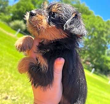 Photo of Macy