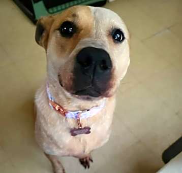Photo of Hazel