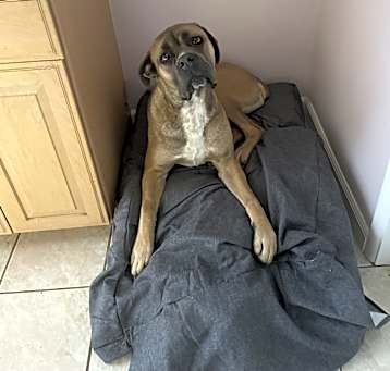 Photo of Ella