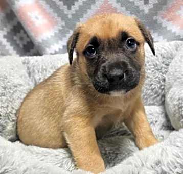Photo of Jessie Murphy