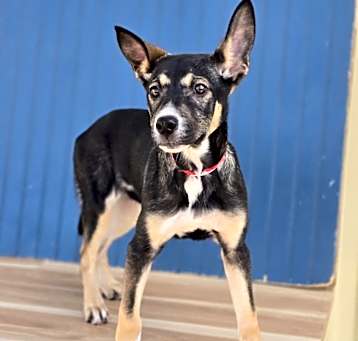 Photo of Rowena