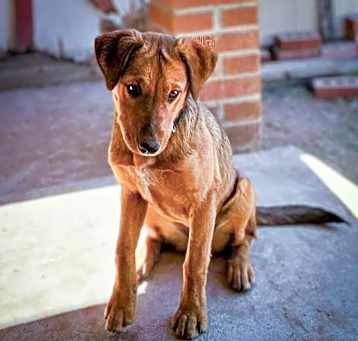 Photo of Celia