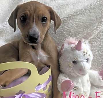 Photo of Mina
