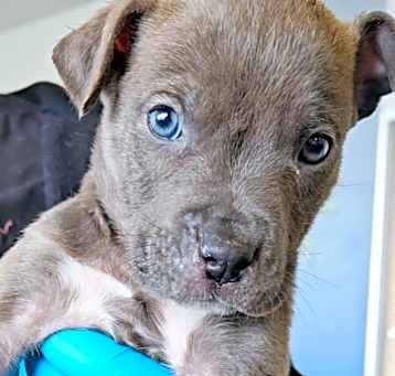 Photo of Little Arlen
